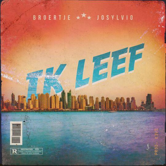 Coverafbeelding Broertje - Ik leef