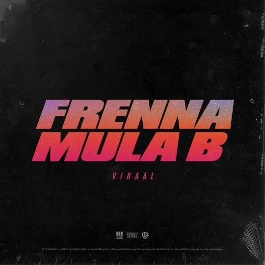 Coverafbeelding Viraal - Frenna & Mula B