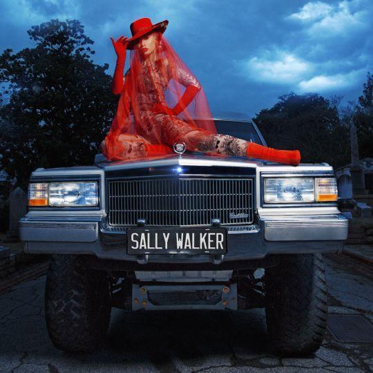 Coverafbeelding Iggy Azalea - Sally walker
