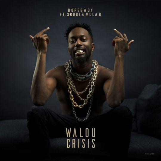 Coverafbeelding Dopebwoy feat. 3robi & Mula B - Walou crisis