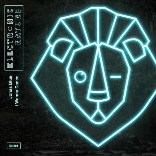 Coverafbeelding Jonas Blue - I wanna dance