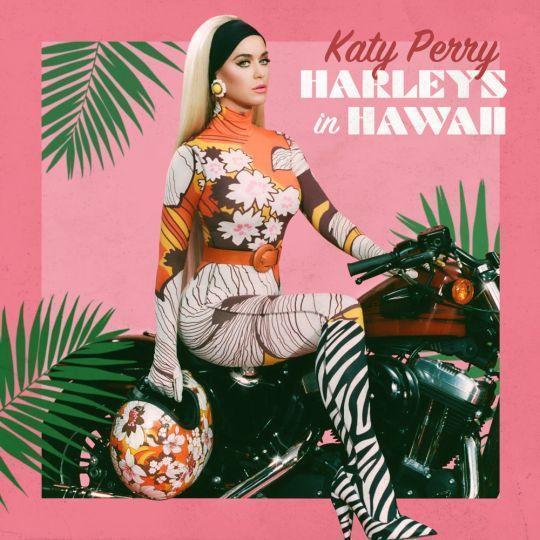 Coverafbeelding Harleys In Hawaii - Katy Perry