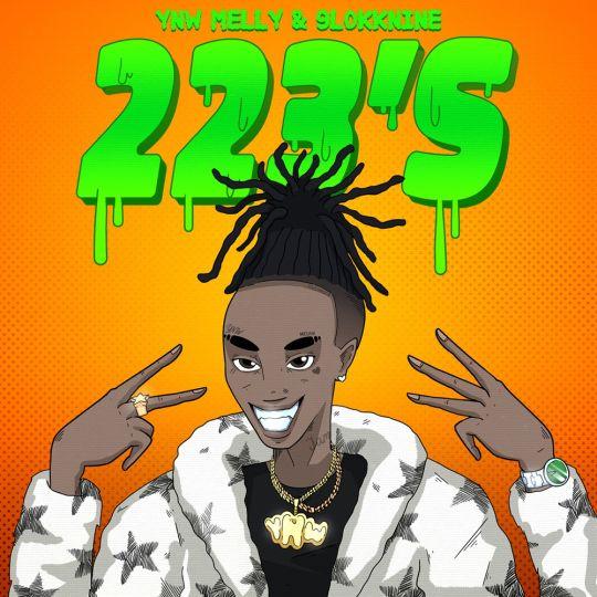 Coverafbeelding YNW Melly & 9lokknine - 223's