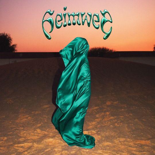 Coverafbeelding Ronnie Flex - Heimwee