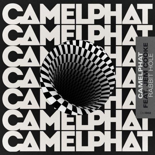 Coverafbeelding CamelPhat & Jem Cooke - Rabbit hole
