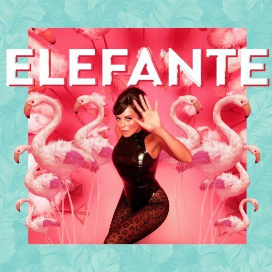 Coverafbeelding NK - Elefante