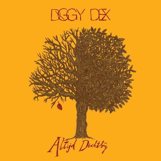 Coverafbeelding Diggy Dex - Altijd dichtbij