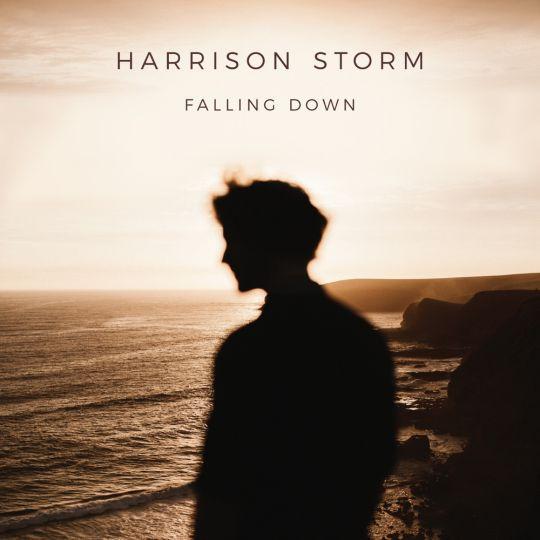 Coverafbeelding Harrison Storm - Falling down