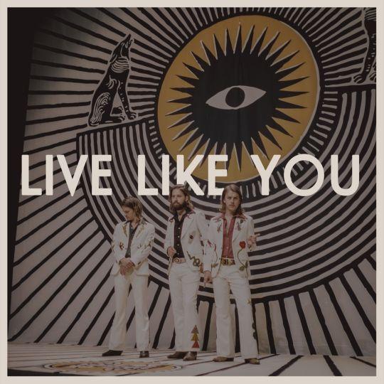 Coverafbeelding DeWolff - Live like you