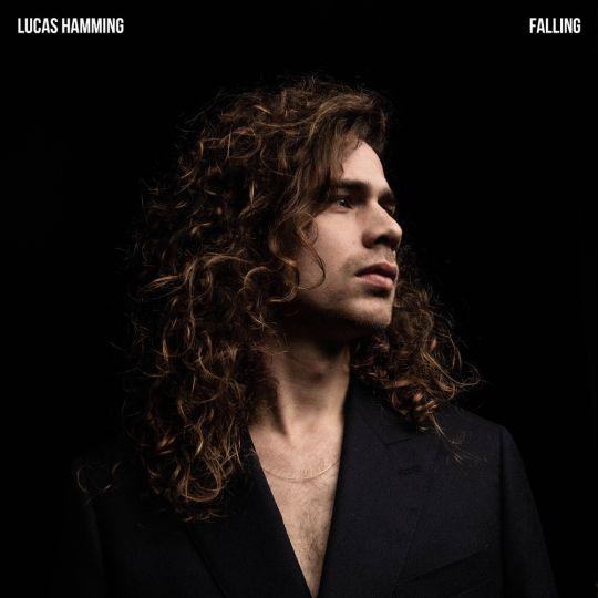 Coverafbeelding Lucas Hamming - Falling