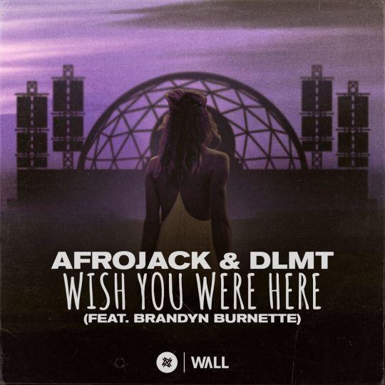 Coverafbeelding Afrojack & DLMT feat. Brandyn Burnette - Wish you were here