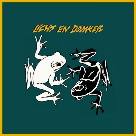 Coverafbeelding Froukje - Licht en donker