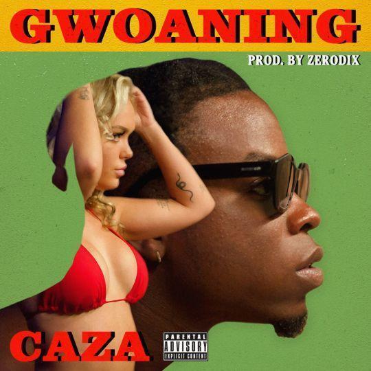 Coverafbeelding Caza - Gwoaning
