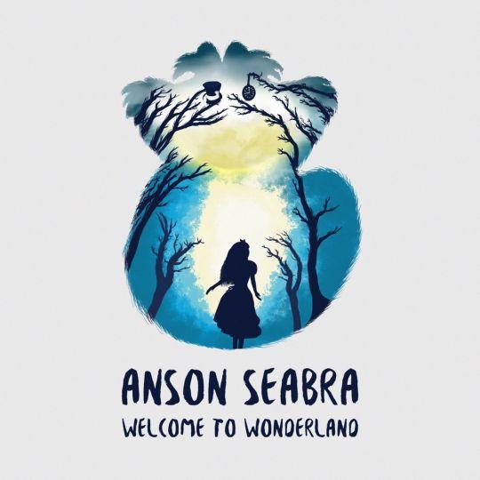 Coverafbeelding Anson Seabra - Welcome to wonderland