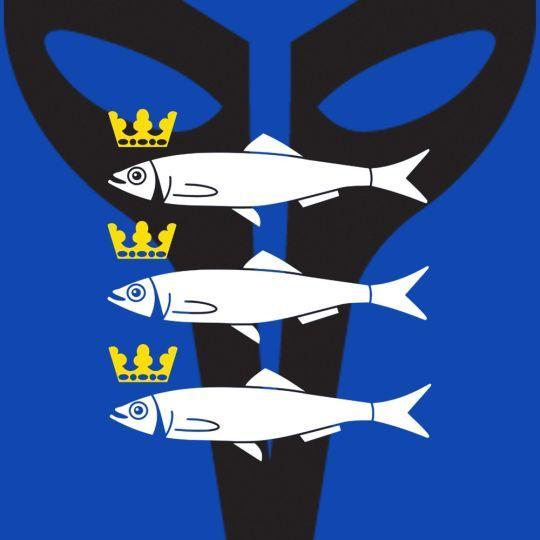 Coverafbeelding De Kraaien - Scheveningen