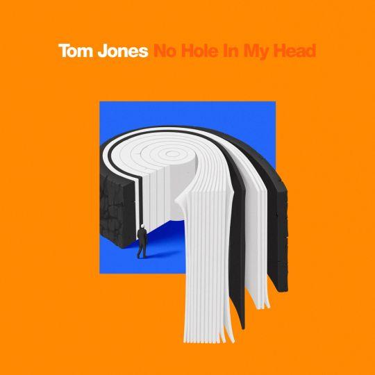 Coverafbeelding Tom Jones - No hole in my head