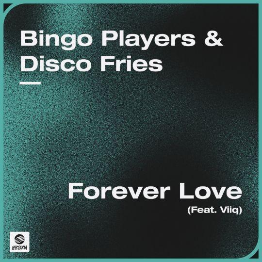 Coverafbeelding Bingo Players & Disco Fries - Forever love