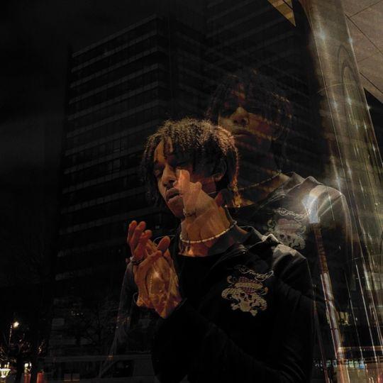 Coverafbeelding Rosé - Gone