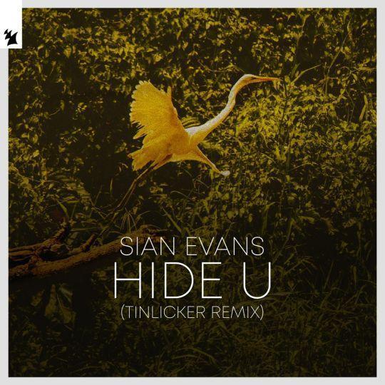 Coverafbeelding Sian Evans - Hide U - Tinlicker Remix