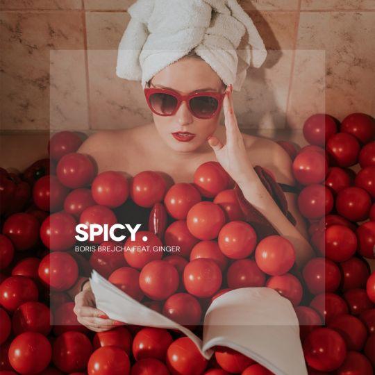 Coverafbeelding Boris Brejcha feat. Ginger - Spicy