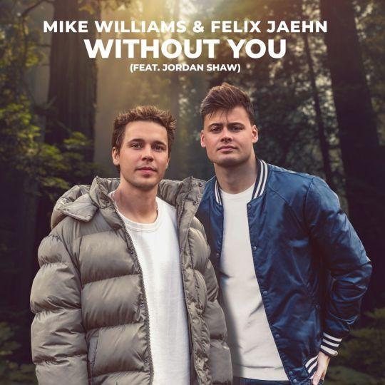 Coverafbeelding Mike Williams & Felix Jaehn feat. Jordan Shaw - Without you