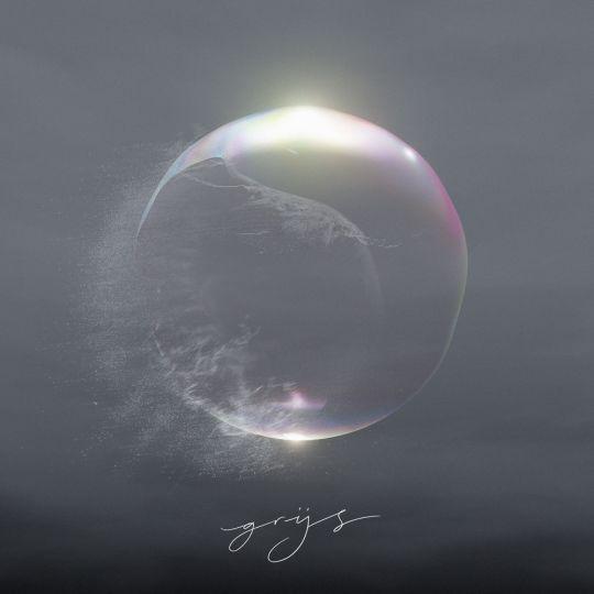 Coverafbeelding Niels Littooij - Grijs