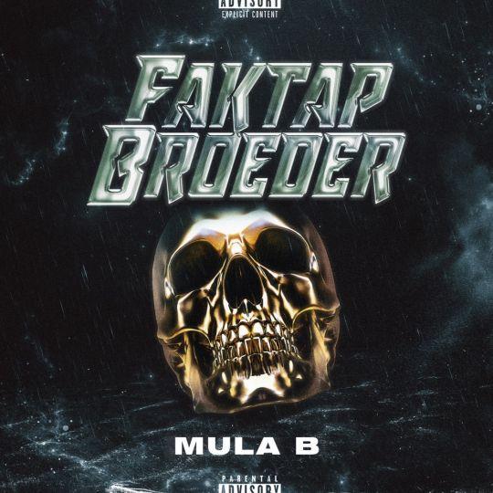 Coverafbeelding Mula B - Faktap broeder