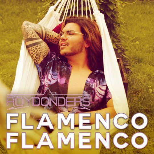 Coverafbeelding Roy Donders - Flamenco Flamenco