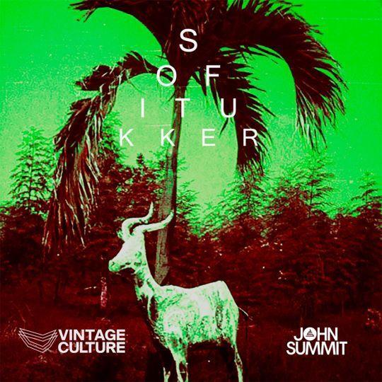 Coverafbeelding Sofi Tukker & Vintage Culture & John Summit - Drinkee - Vintage Culture & John Summi
