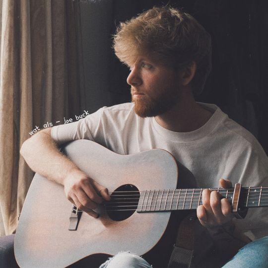 Coverafbeelding Joe Buck - Wat als