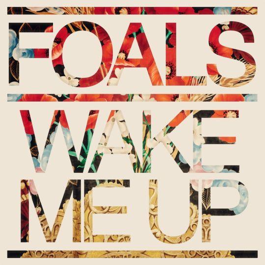 Coverafbeelding Foals - Wake me up