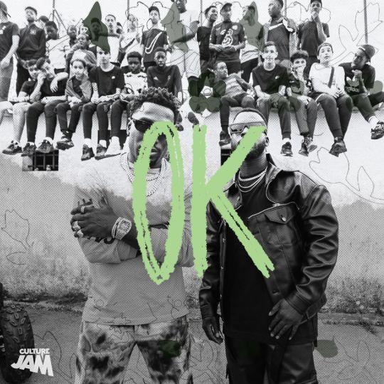 Coverafbeelding Culture Jam feat. Bramsito & Frenna - OK