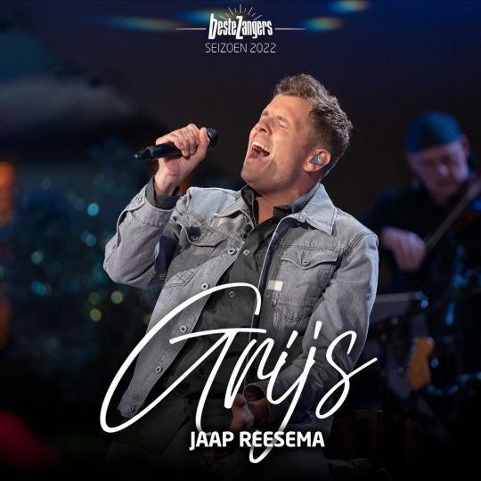 Coverafbeelding Jaap Reesema - Grijs