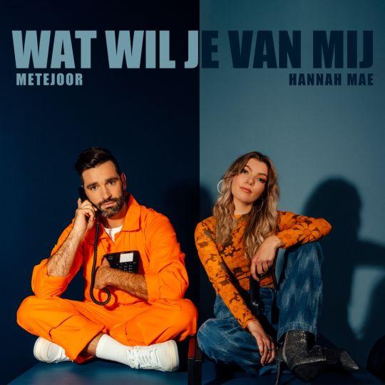 Coverafbeelding Metejoor & Hannah Mae - Wat wil je van mij