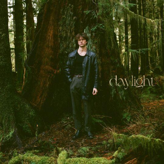 Coverafbeelding David Kushner - Daylight