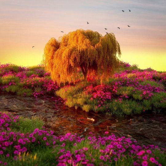 Coverafbeelding Antoon & Ronnie Flex - Sliden