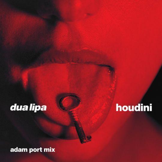 Coverafbeelding Dua Lipa - Houdini - Adam Port Mix