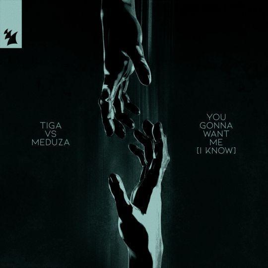 Coverafbeelding Tiga vs Meduza - You Gonna Want Me (I Know)