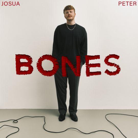 Coverafbeelding Josua Peter - Bones