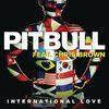 Coverafbeelding International Love - Pitbull Feat. Chris Brown