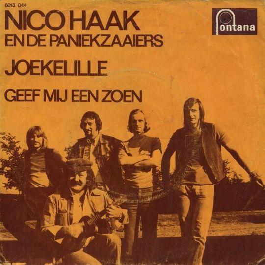 Coverafbeelding Nico Haak en De Paniekzaaiers - Joekelille