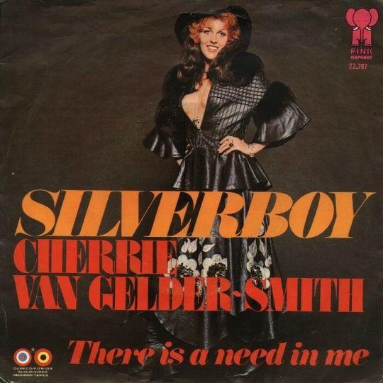 Coverafbeelding Silverboy - Cherrie Van Gelder-Smith