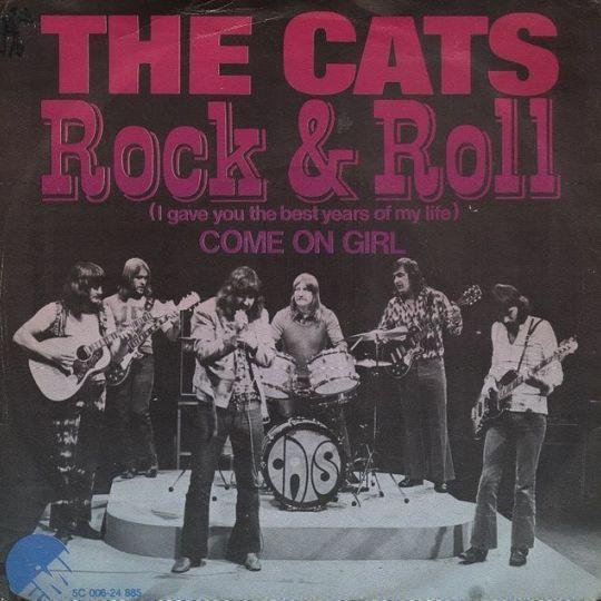 Coverafbeelding The Cats - Rock & Roll (I Gave You The Best Years Of My Life)