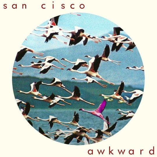 Coverafbeelding San Cisco - Awkward