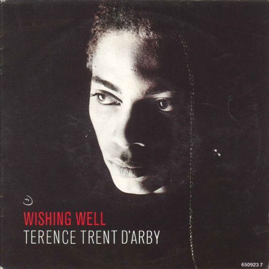 Coverafbeelding Wishing Well - Terence Trent D'arby