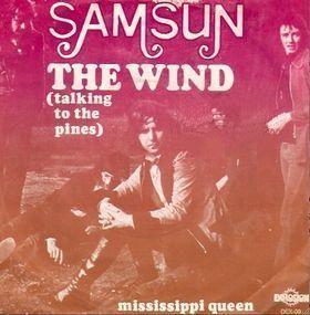Coverafbeelding Samsun - The Wind (Talking To The Pines)