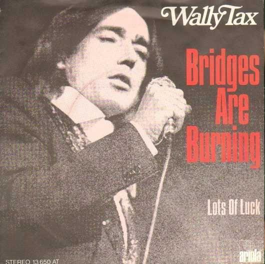 Coverafbeelding Bridges Are Burning - Wally Tax