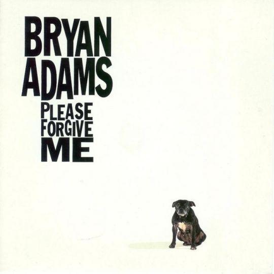 Coverafbeelding Please Forgive Me - Bryan Adams