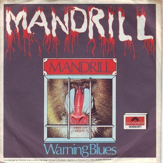 Coverafbeelding Mandrill - Mandrill