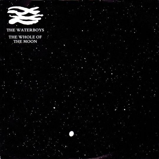 Coverafbeelding The Waterboys - The Whole Of The Moon